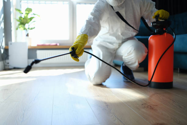 Reliable Odor Removal contractor in Meridian, CO by Trauma Clean Pros